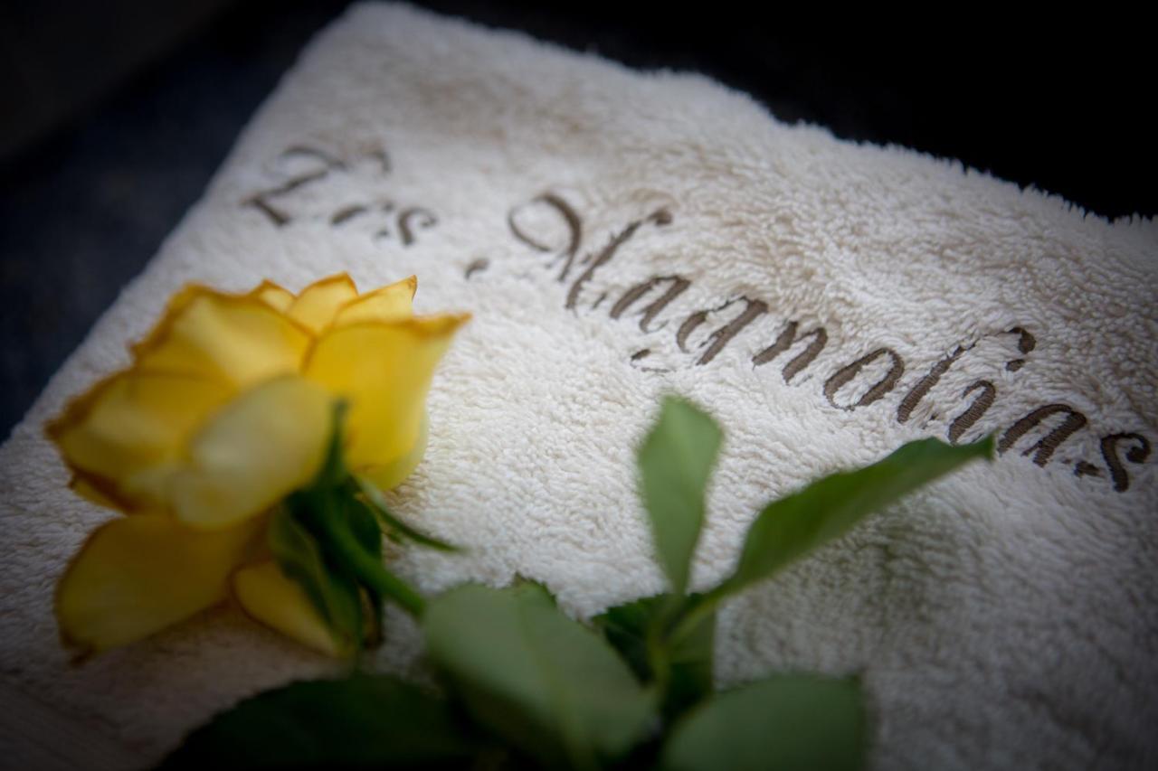 Les Magnolias Holiday Homes Lalinde 外观 照片